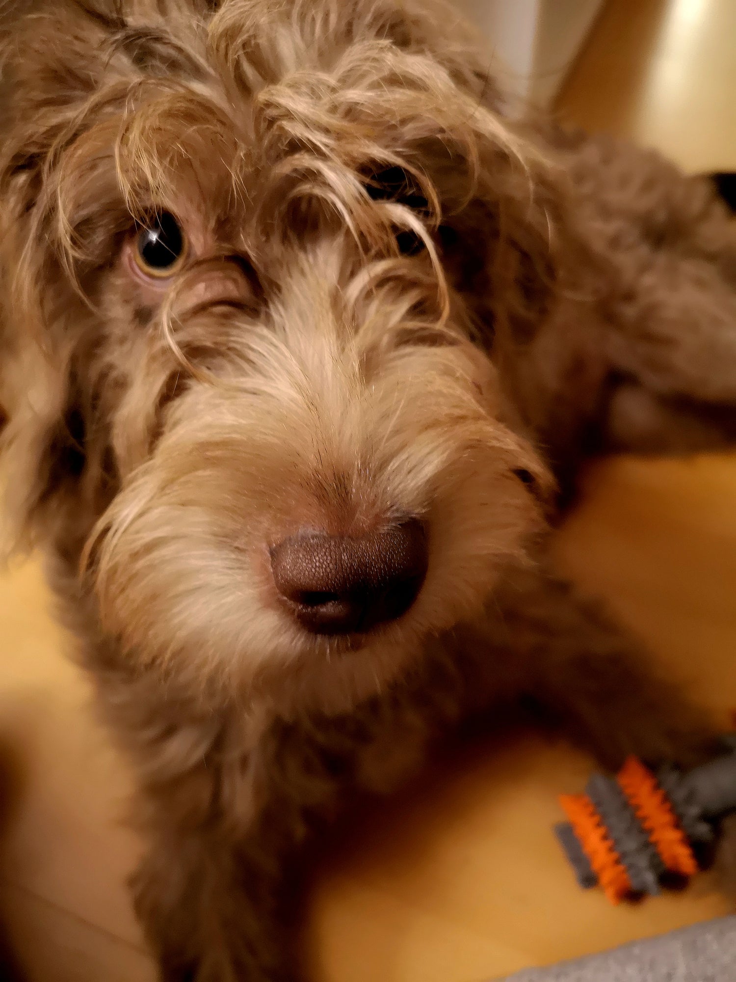 Kuratierter Vintage und Second Hand Onlineshop